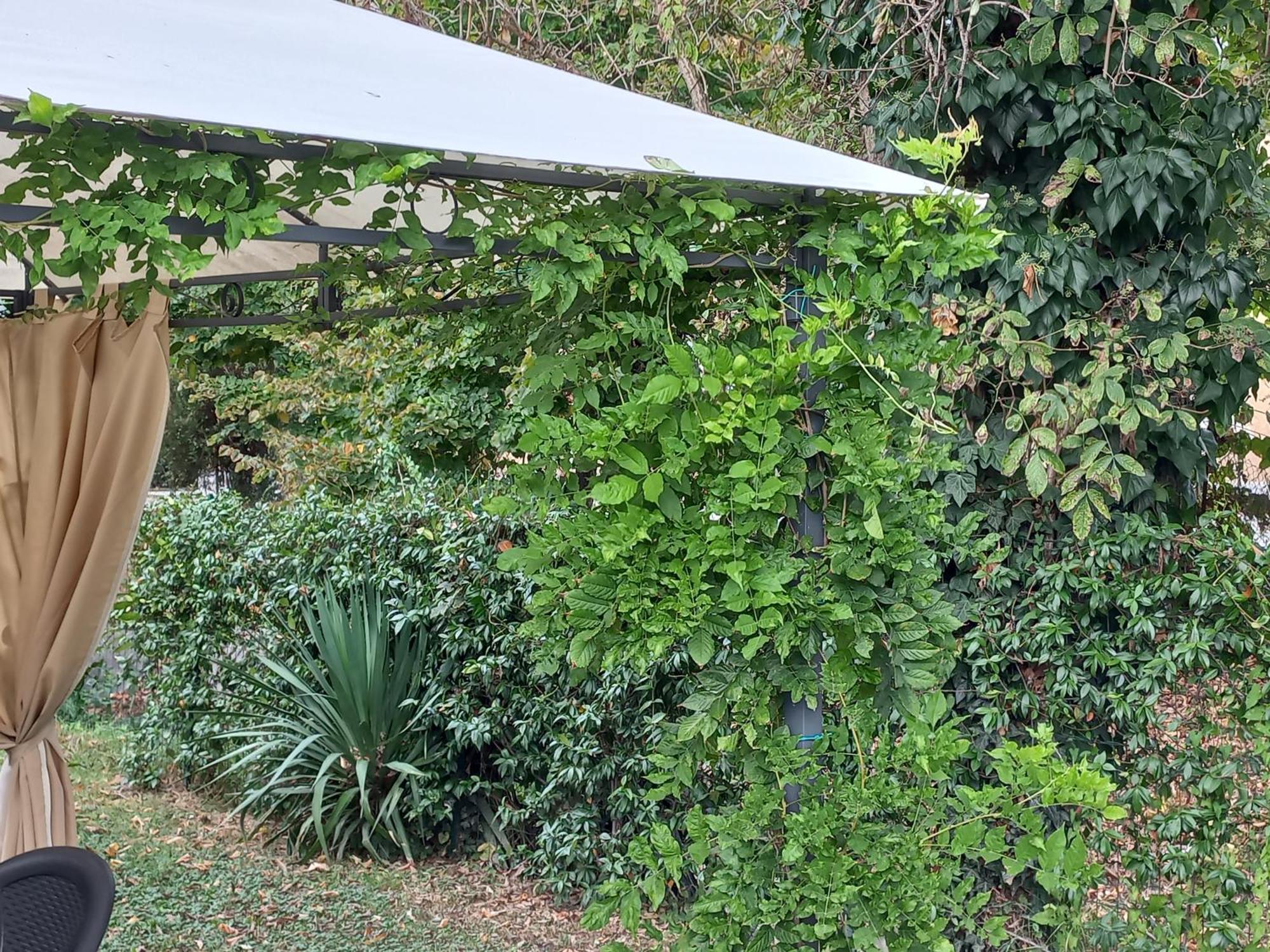 Appartamento Le Magnolie 2 Mestre Bagian luar foto
