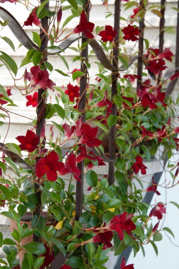 Appartamento Le Magnolie 2 Mestre Bagian luar foto