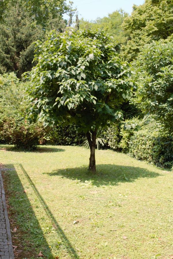 Appartamento Le Magnolie 2 Mestre Bagian luar foto