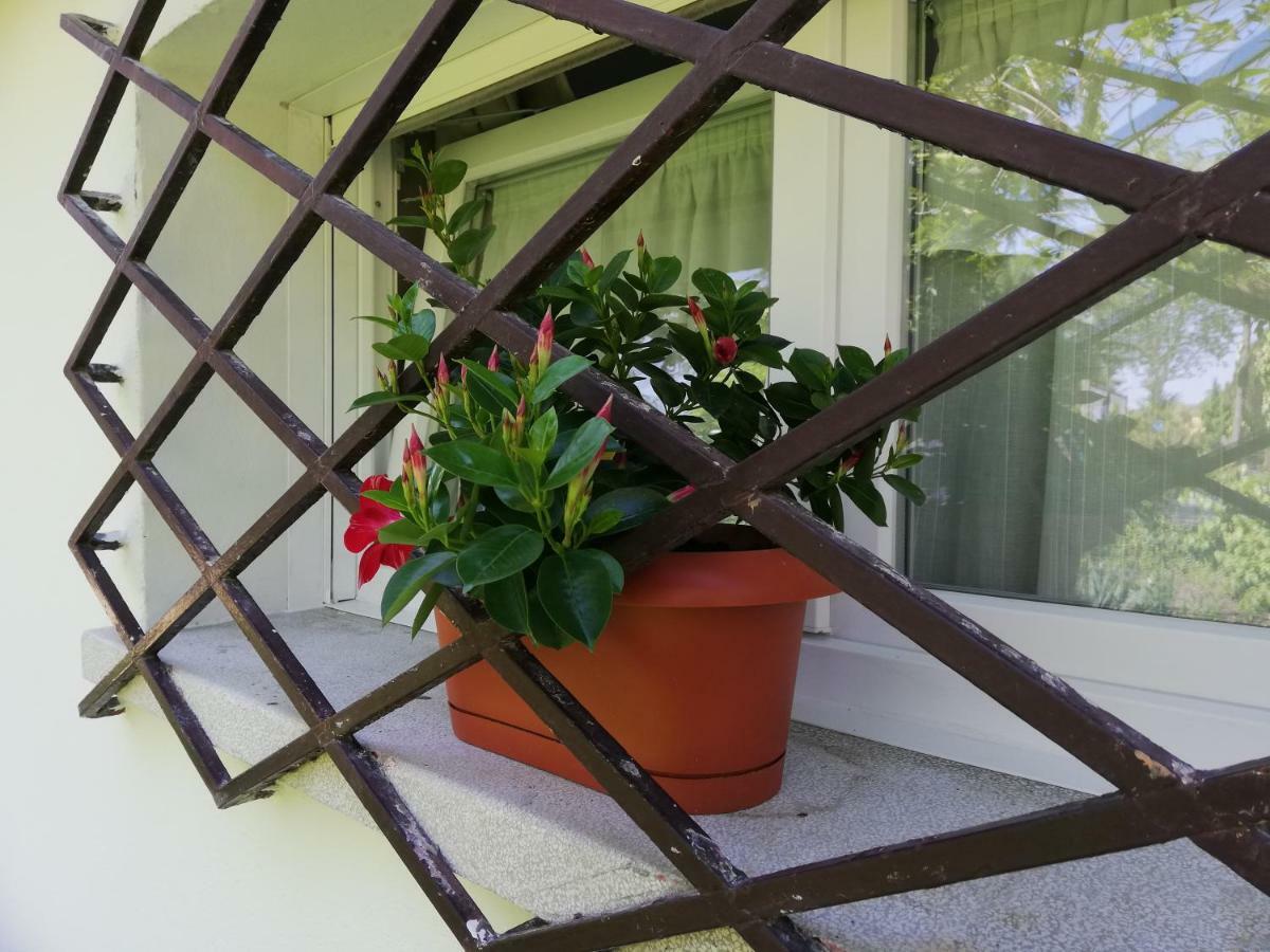 Appartamento Le Magnolie 2 Mestre Bagian luar foto